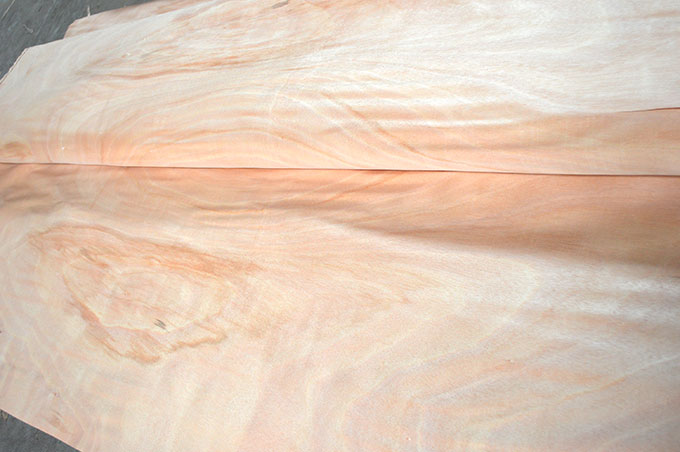 װ��ר����Ƥ