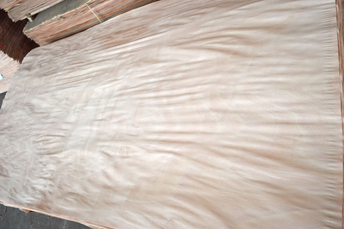 ��Ʒ�һ�о��Ƥ