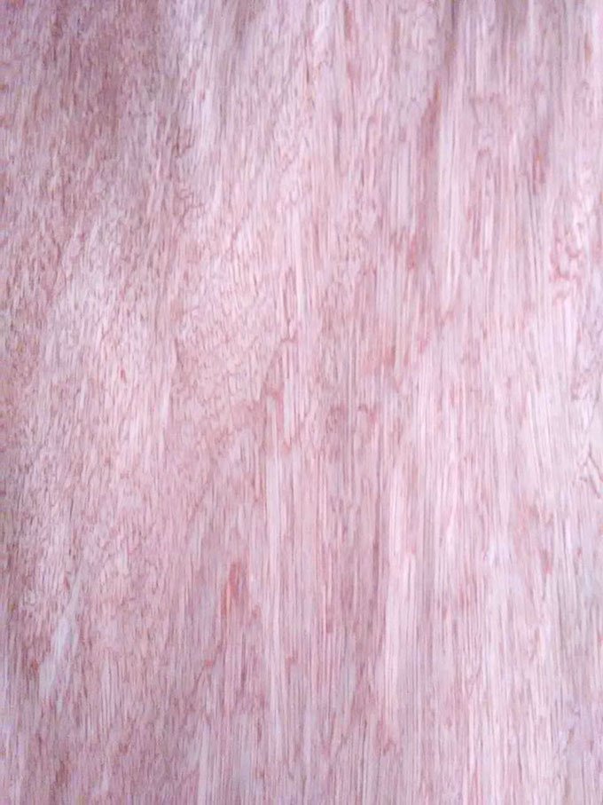 ���ǹ�����